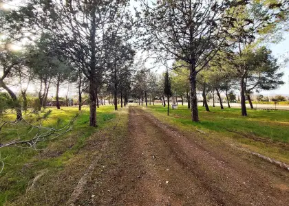 Casa/Chalet Parcela 26.800 m2 en Argamasilla de Calatrava