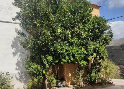 Casa de pueblo en Fuencaliente