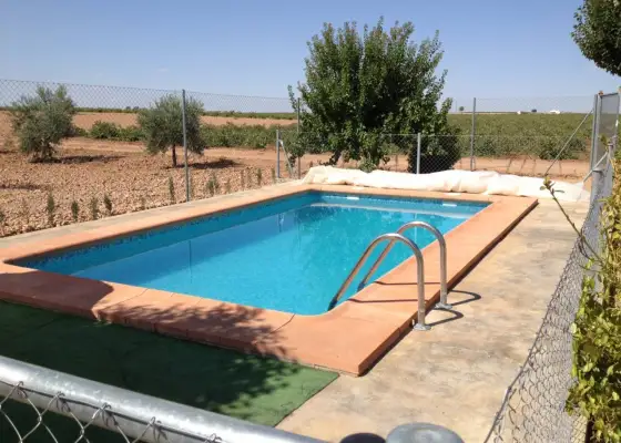 Chalet en parcela rustica con olivar en Manzanares