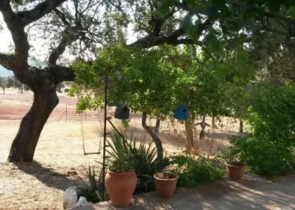 Excelente finca de caza bien comunicada en proximidad almodovar en Almodóvar del Campo