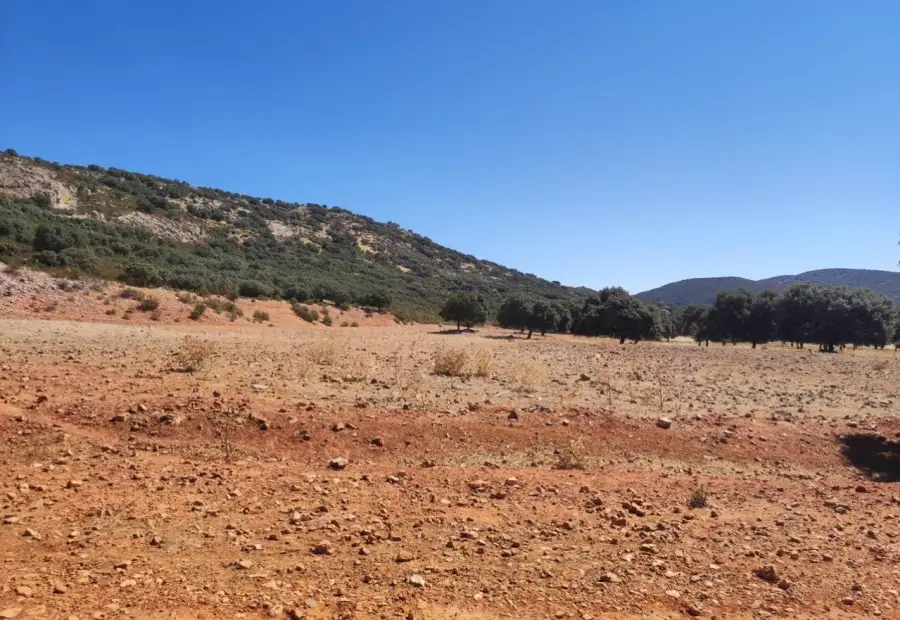 Excelente finca de caza bien comunicada en proximidad almodovar en Almodóvar del Campo