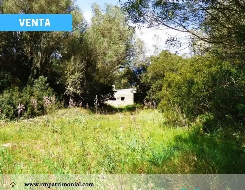 Finca de Monte Mediterráneo y Caza menor - Horcajo de los Montes. en Horcajo de los Montes