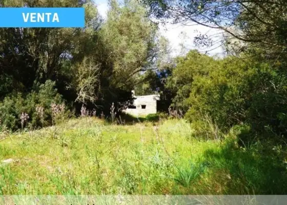 Finca de Monte Mediterráneo y Caza menor - Horcajo de los Montes.