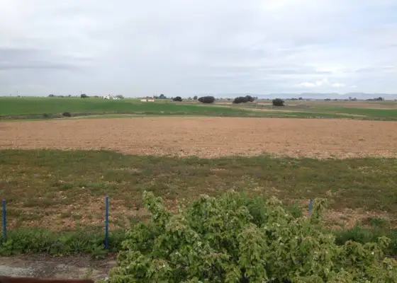 finca rustica de viñedo en venta en Alcázar de San Juan
