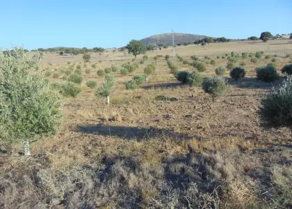 Finca Rústica en Aldeaquemada, Aldequemada en Aldeaquemada