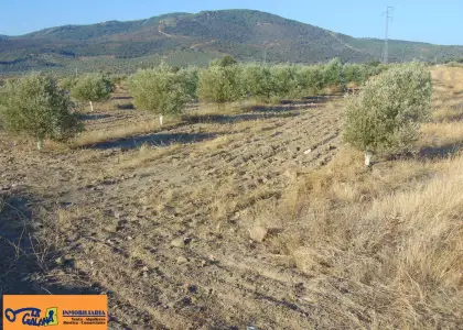 Finca Rústica en Aldeaquemada, Aldequemada en Aldeaquemada