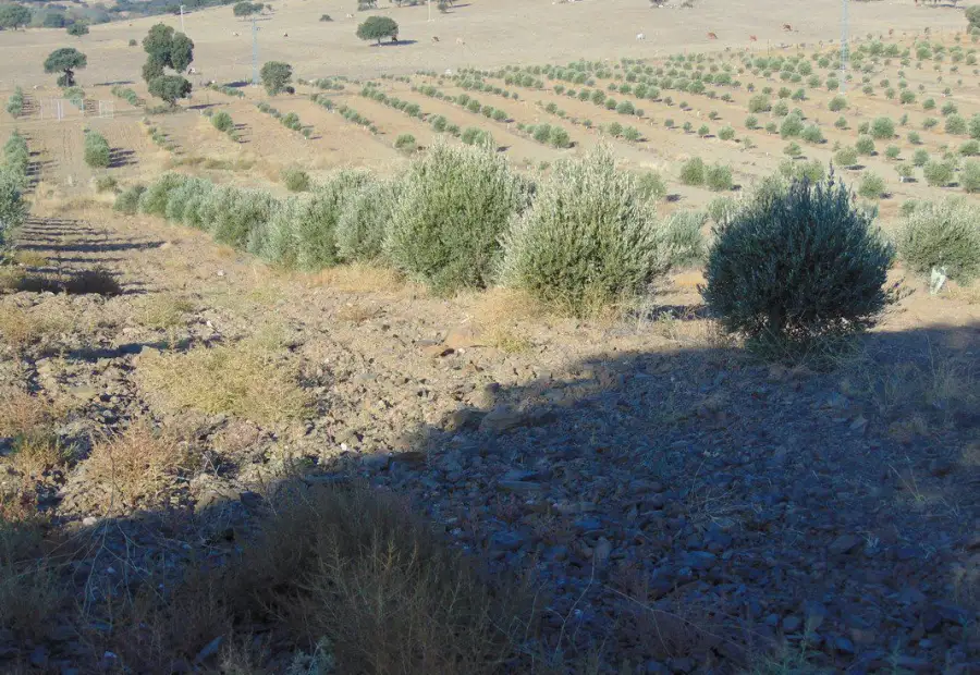 Finca Rústica en Aldeaquemada, Aldequemada en Aldeaquemada