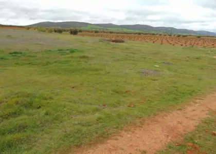 Finca Rústica en San Carlos Del Valle, San Carlos Del Valle en San Carlos del Valle