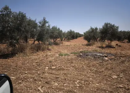 Finca Rústica en Valdepeñas, Aguas en Valdepeñas