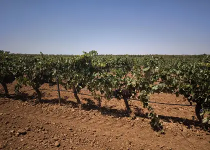 Finca Rústica en Valdepeñas, Aguas en Valdepeñas