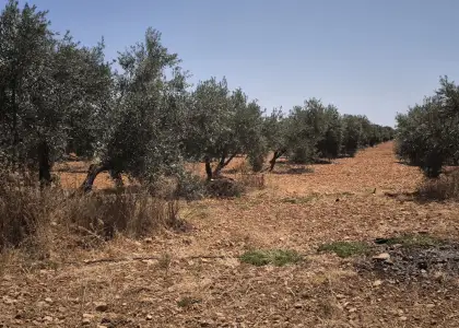 Finca Rústica en Valdepeñas, Aguas en Valdepeñas
