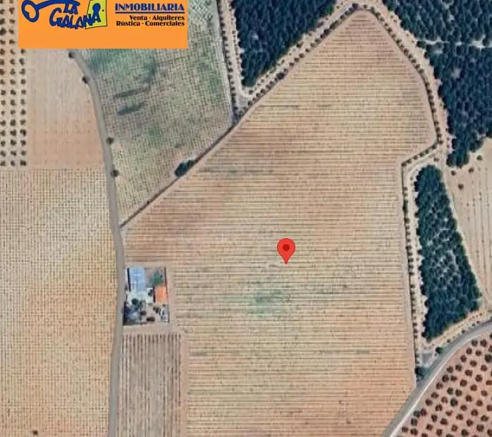 Finca Rústica en Valdepeñas, Aguas en Valdepeñas