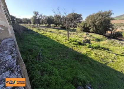 Finca Rústica en Valdepeñas, Baños del Peral en Valdepeñas