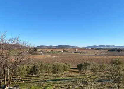 Finca Rústica en Valdepeñas, Carretara del Cristo en Valdepeñas