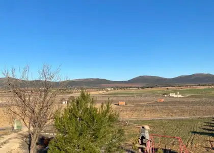Finca Rústica en Valdepeñas, Carretara del Cristo en Valdepeñas