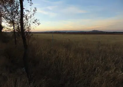 Finca Rústica en Valdepeñas, Carretera Infantes en Valdepeñas