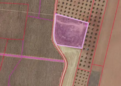 Finca Rústica en Valdepeñas, Carretera Moral en Valdepeñas