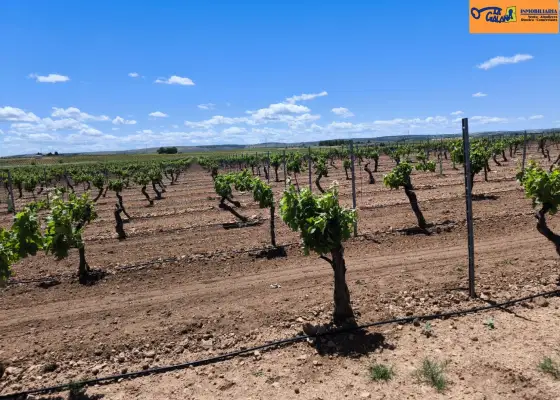 Finca Rústica en Valdepeñas, Carretera Moral