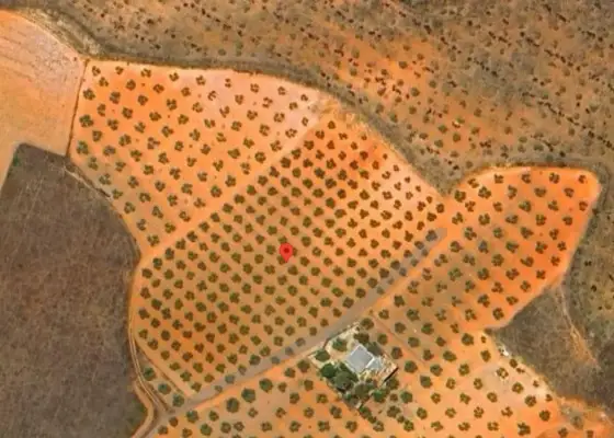 Finca Rústica en Valdepeñas, Carretera Santa Cruz