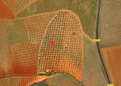 Finca Rústica en Valdepeñas, Carretera Torre Nueva en Valdepeñas