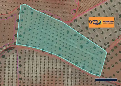 Finca Rústica en Valdepeñas, Carretera Torre Nueva en Valdepeñas