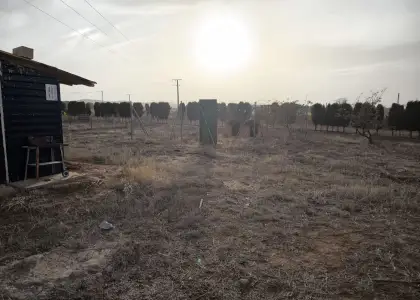 Finca Rústica en Valdepeñas, Nacional - IV en Valdepeñas