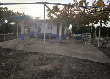 Finca Rústica en Valdepeñas, Nacional - IV en Valdepeñas