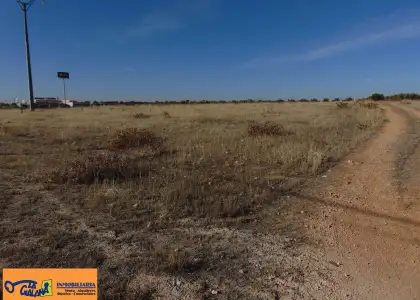 Finca Rústica en Valdepeñas, Nacional - IV en Valdepeñas