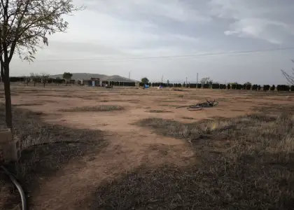 Finca Rústica en Valdepeñas, Nacional - IV en Valdepeñas