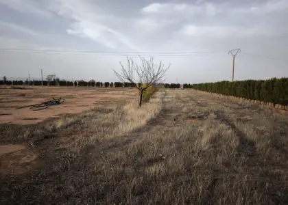 Finca Rústica en Valdepeñas, Nacional - IV en Valdepeñas