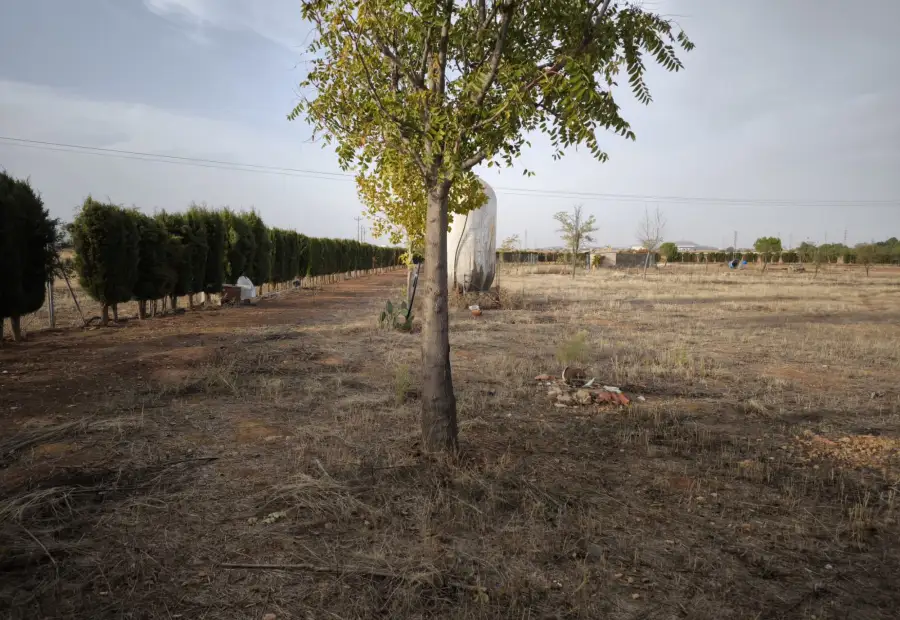 Finca Rústica en Valdepeñas, Nacional - IV en Valdepeñas