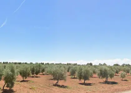 Finca Rústica en Valdepeñas, Valdepeñas en Valdepeñas