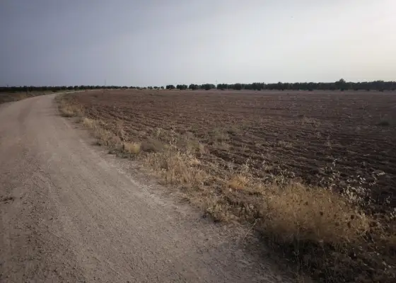 Finca Rústica en Valdepeñas, Valdepeñas