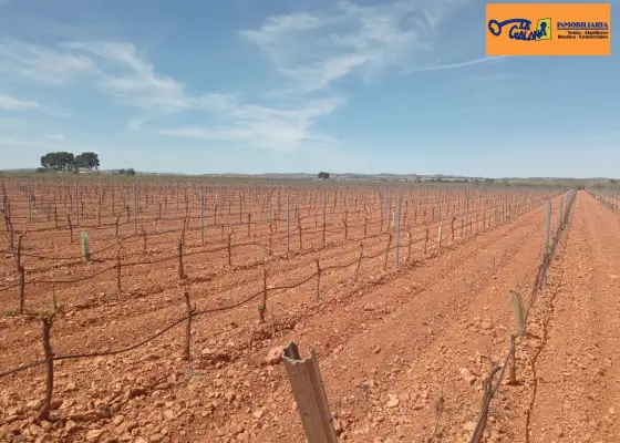 Finca Rústica en Valdepeñas, Valdepeñas