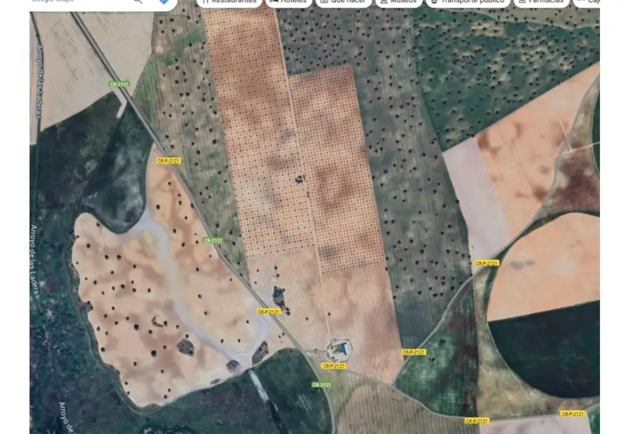 Finca rústica en venta en Daimiel en Daimiel