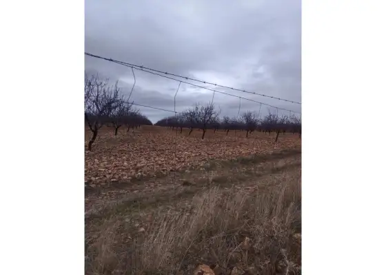 Finca rústica en venta en Daimiel