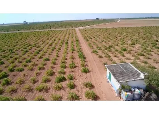 Finca rústica en venta en Manzanares
