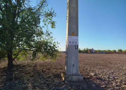 Finca rústica en venta en Valdepeñas en Valdepeñas