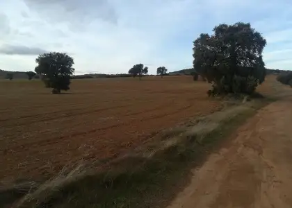 Finca Rústica en Viso Del Marques, Bazán en Viso del Marqués