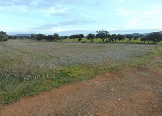 Finca Rústica en Viso Del Marques, Bazán en Viso del Marqués