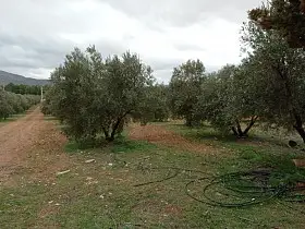 Finca Rústica Venta Carretara del Cristo, Valdepeñas