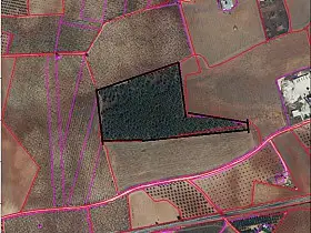 Finca Rústica Venta Carretera Infantes, Valdepeñas en Valdepeñas