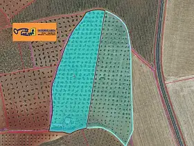 Finca Rústica Venta Carretera Torre Nueva, Valdepeñas