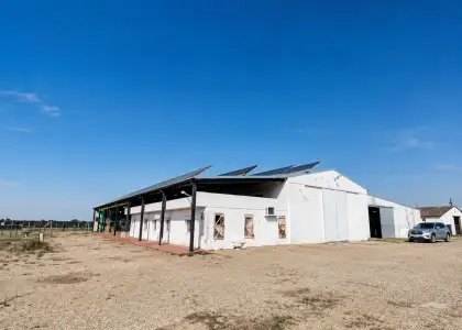 Nave En Alquiler tomelloso, Tomelloso en Tomelloso