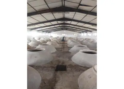 Parcela en venta en Torralba de Calatrava en Torralba de Calatrava