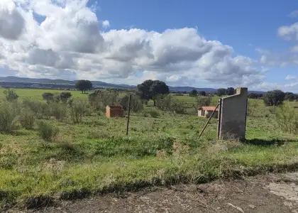 PARCELA RUSTICA en TIRTEAFUERA en Villamayor de Calatrava
