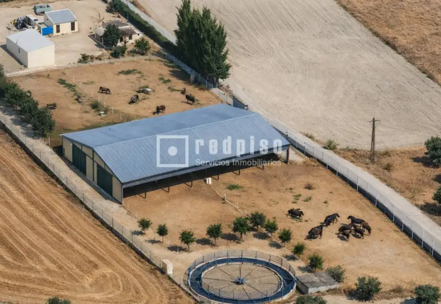Solar en venta en Yeles, Toledo en Yeles
