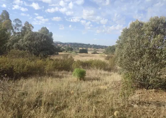 Terreno en Paisaje El Talaverano, Brazatortas