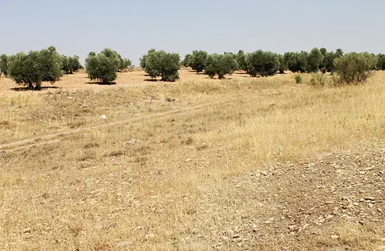Terreno en venta en calle Mayor San Juan 13400, Ciudad Real, Almadén en Almadén