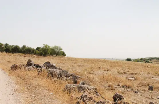Terreno en venta en cmno Puente S/n 13610, Ciudad Real, Campo de Criptana en Campo de Criptana